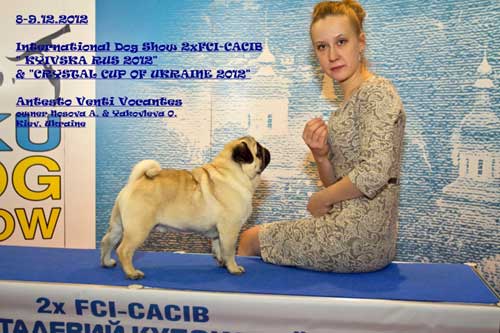 ���� ANTESTO VENTI VOCANTES 