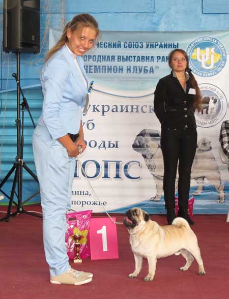 Мопс
