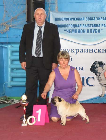 Мопс