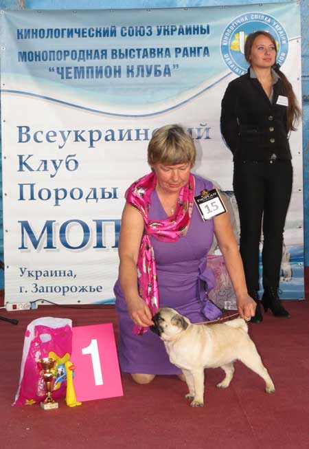 Мопс