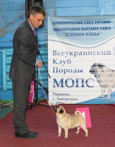 Мопс