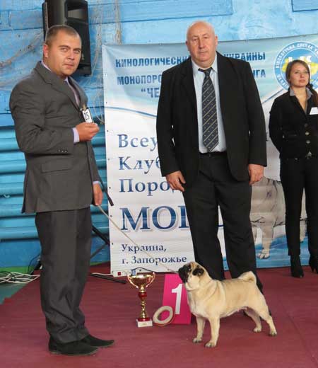 Мопс