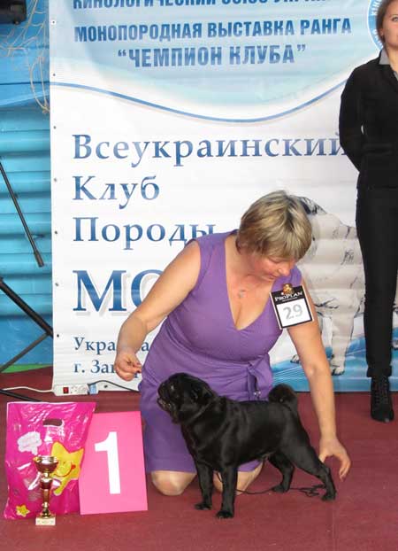 Мопс