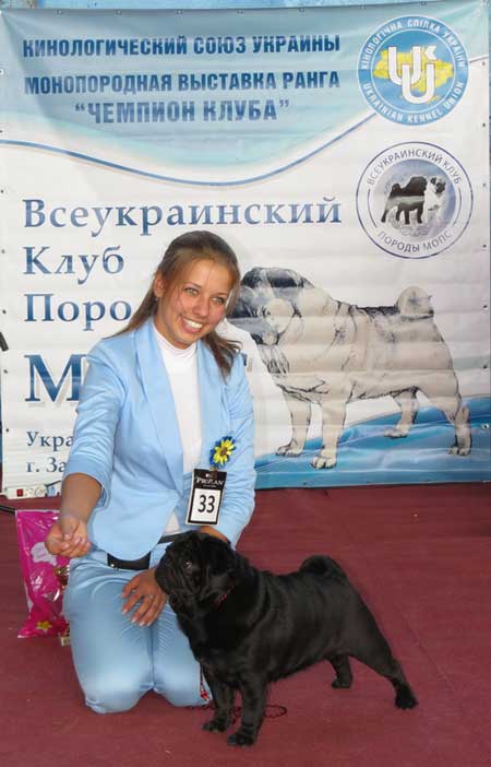 Мопс