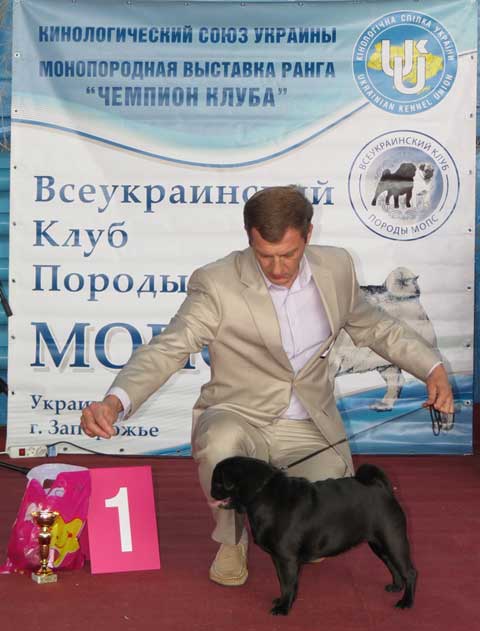 Мопс